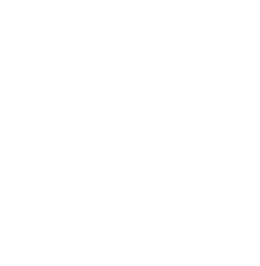 Shaun Mercier